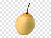 Ripe pear PNG image 熟梨PNG图像 PNG图片