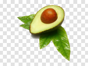 Avocado PNG 鳄梨PNG PNG图片