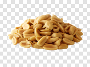 Peanut PNG 花生PNG PNG图片