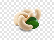 Cashew nut PNG 腰果PNG PNG图片