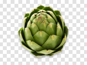 Artichoke PNG 朝鲜蓟PNG PNG图片