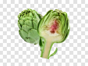 Artichoke PNG 朝鲜蓟PNG PNG图片