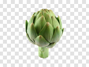 Artichoke PNG 朝鲜蓟PNG PNG图片