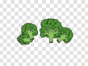  椰菜PNGPNG图片 Broccoli PNG 