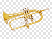 Trumpet PNG 喇叭PNG PNG图片