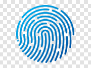 Fingerprint PNG 指纹PNG PNG图片