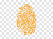 Fingerprint PNG 指纹PNG PNG图片