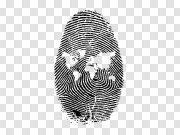 Fingerprint PNG 指纹PNG PNG图片