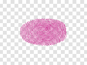 Fingerprint PNG 指纹PNG PNG图片