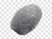 Fingerprint PNG 指纹PNG PNG图片