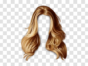 Hair wig PNG 假发PNG PNG图片