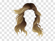 Hair wig PNG 假发PNG PNG图片