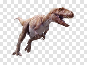 Dinosaur PNG 恐龙PNG PNG图片