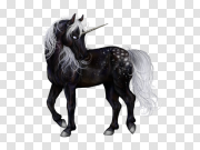 Unicorn PNG 独角兽PNG PNG图片