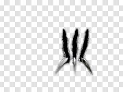 Wolverine claws PNG 狼獾爪 PNG图片