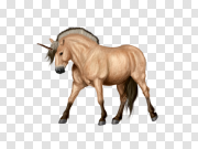 Unicorn PNG 独角兽PNG PNG图片