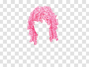 Hair wig PNG 假发PNG PNG图片