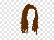 Hair wig PNG 假发PNG PNG图片