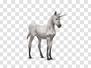 Unicorn PNG 独角兽PNG PNG图片