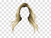 Hair wig PNG 假发PNG PNG图片