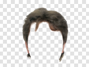 Hair wig PNG 假发PNG PNG图片