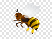 Wasp PNG 黄蜂PNG PNG图片