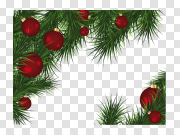 Christmas fir-tree PNG image 圣诞冷杉PNG图片 PNG图片