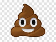 Poop icon PNG 便便图标PNG PNG图片