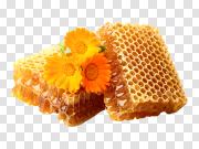 Honey PNG 亲爱的PNG PNG图片