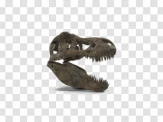 T-Rex PNG High-Quality Image T-Rex PNG高质量图像 PNG图片