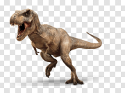 Tyrannosaurus Rex PNG Background Image 霸王龙PNG背景图片 PNG图片