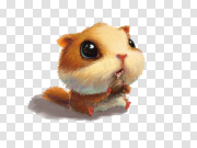 Hamster PNG Free Download 仓鼠PNG免费下载 PNG图片