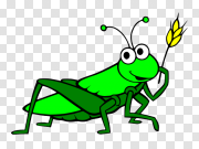 Grasshopper PNG Image Background 蚱蜢PNG图像背景 PNG图片