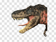 Dinosaur PNG Image 恐龙PNG图片 PNG图片