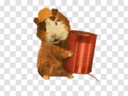 Hamster Free PNG Image 无仓鼠PNG图像 PNG图片