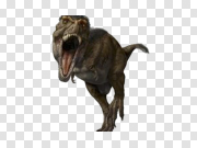 T-Rex PNG Image Background 霸王龙PNG图像背景 PNG图片