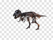 Tyrannosaurus Rex PNG Free Download 霸王龙PNG免费下载 PNG图片