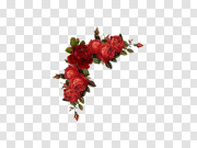 Red Floral Border PNG Pic 红色花边图片 PNG图片