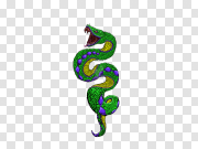 Black Mamba Emoji PNG HD Photo 黑曼巴表情PNG高清照片 PNG图片