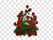 Valentine Day Flower PNG High-Quality Image 情人节花PNG高品质图片 PNG图片