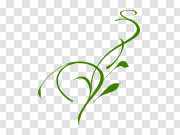 Leaf Swirl PNG Download Image 叶子漩涡PNG下载图片 PNG图片