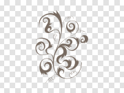 Curly Swirl PNG Pic 卷曲漩涡图片 PNG图片