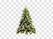 Christmas Tree PNG Image 圣诞树PNG图片 PNG图片