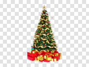 Christmas Tree PNG Pic 圣诞树图片 PNG图片