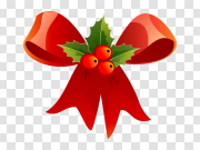 Christmas Decoration PNG Pic 圣诞装饰PNG图 PNG图片