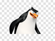 Penguins of Madagascar Transparent 马达加斯加企鹅 PNG图片