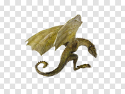 Viserion Dragon PNG Image 维塞里奥龙PNG图片 PNG图片