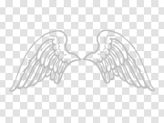 White Angel Wings PNG Image Background 白色天使翅膀PNG图像背景 PNG图片