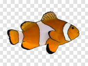 Finding Nemo PNG Picture 寻找尼莫PNG图片 PNG图片