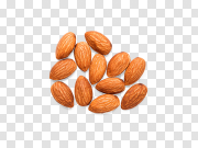 Almond Transparent Image 杏仁透明图像 PNG图片